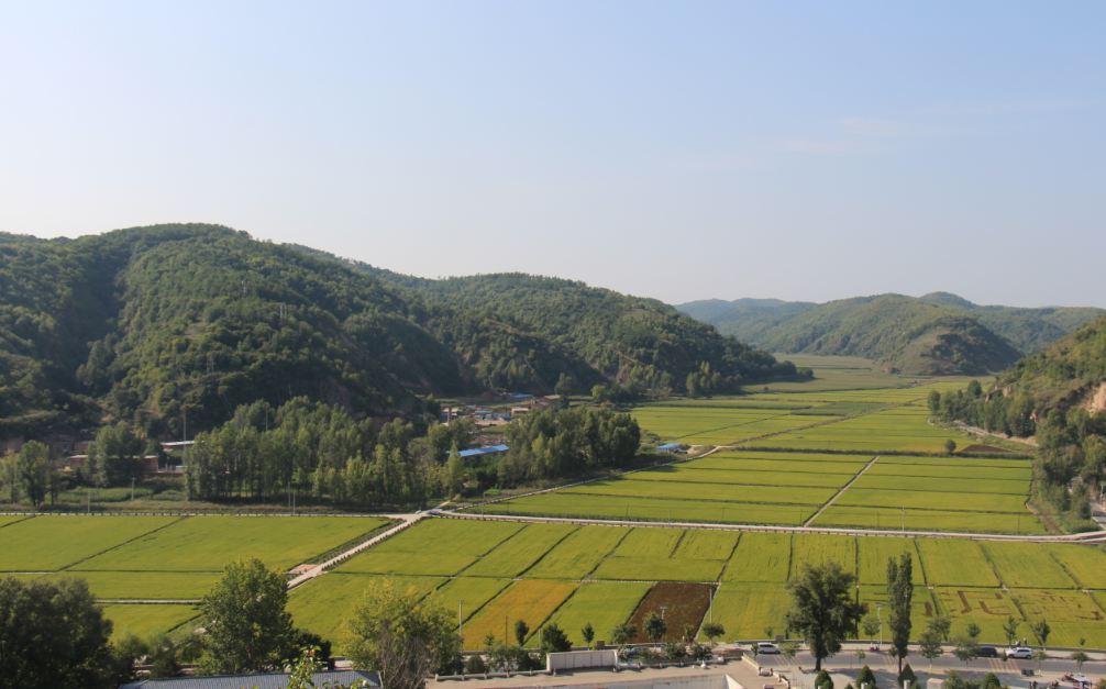 191621394137374306.png 191621394137374306.png