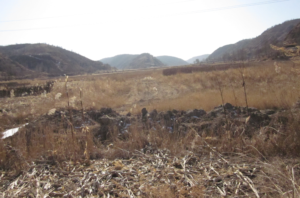 191621394140457642.png 191621394140457642.png