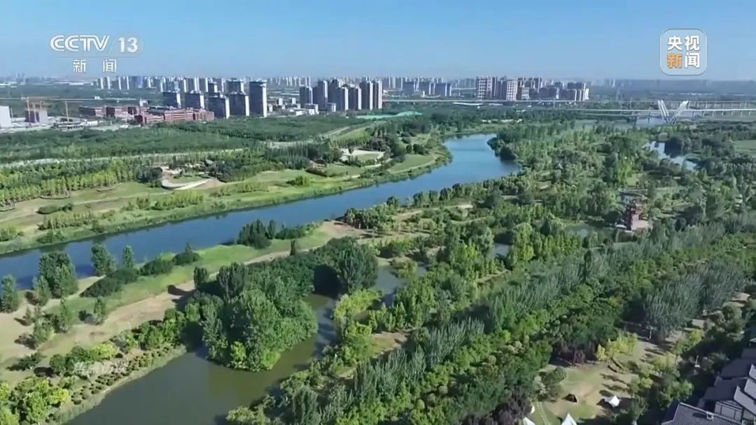 261724636234115046.jpg 640 (2).jpg