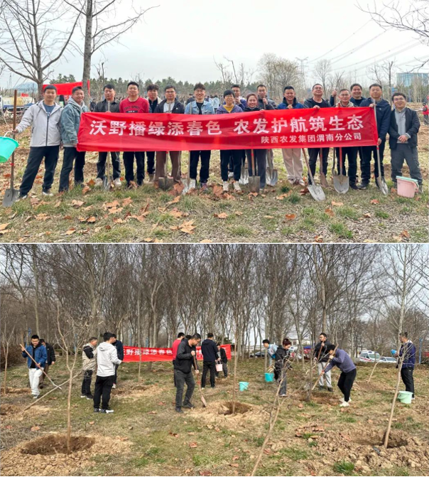 131741831813118928.png image.png