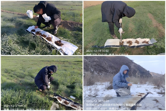 WPS拼圖0.png WPS拼圖0.png