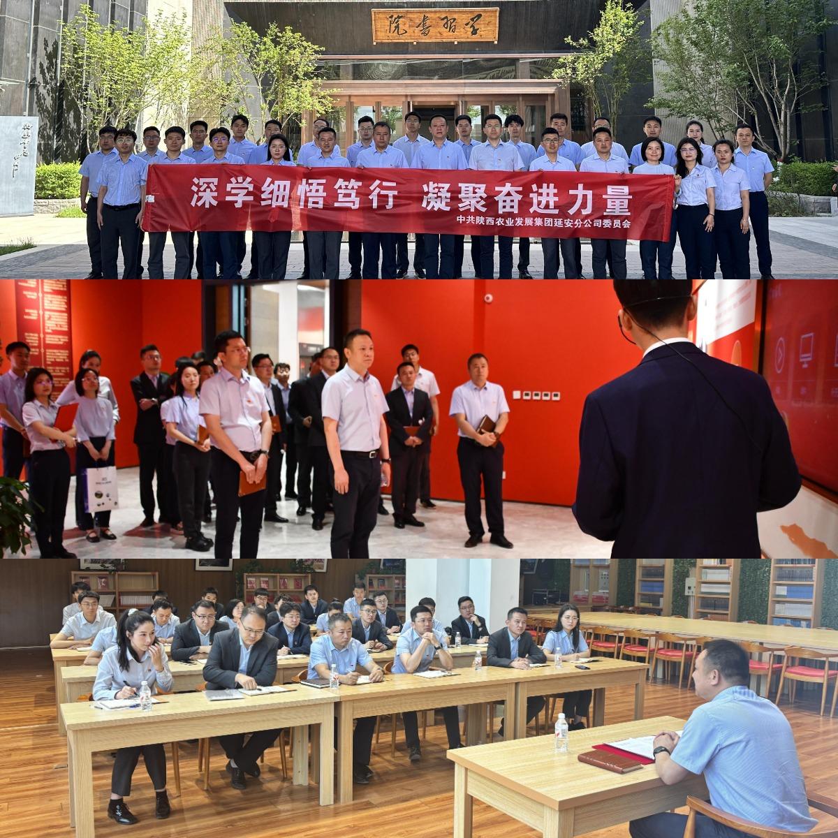 151747309580139513.jpg WPS拼圖0.jpg