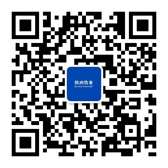 221747883417161787.jpg 0dd2f06657df2b14ed13f9ffd2c5380.jpg