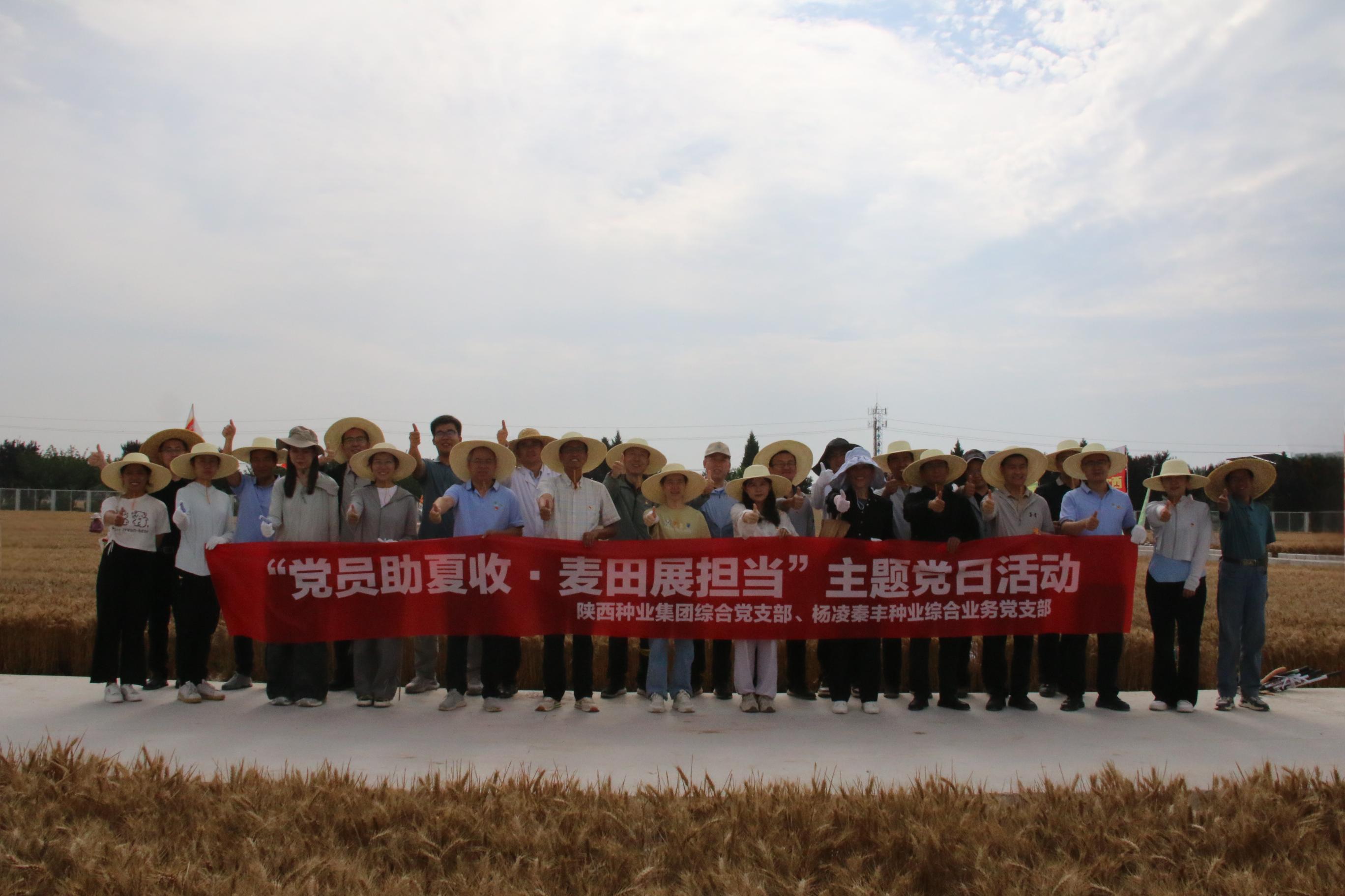 061749199684181169.jpg 1.JPG