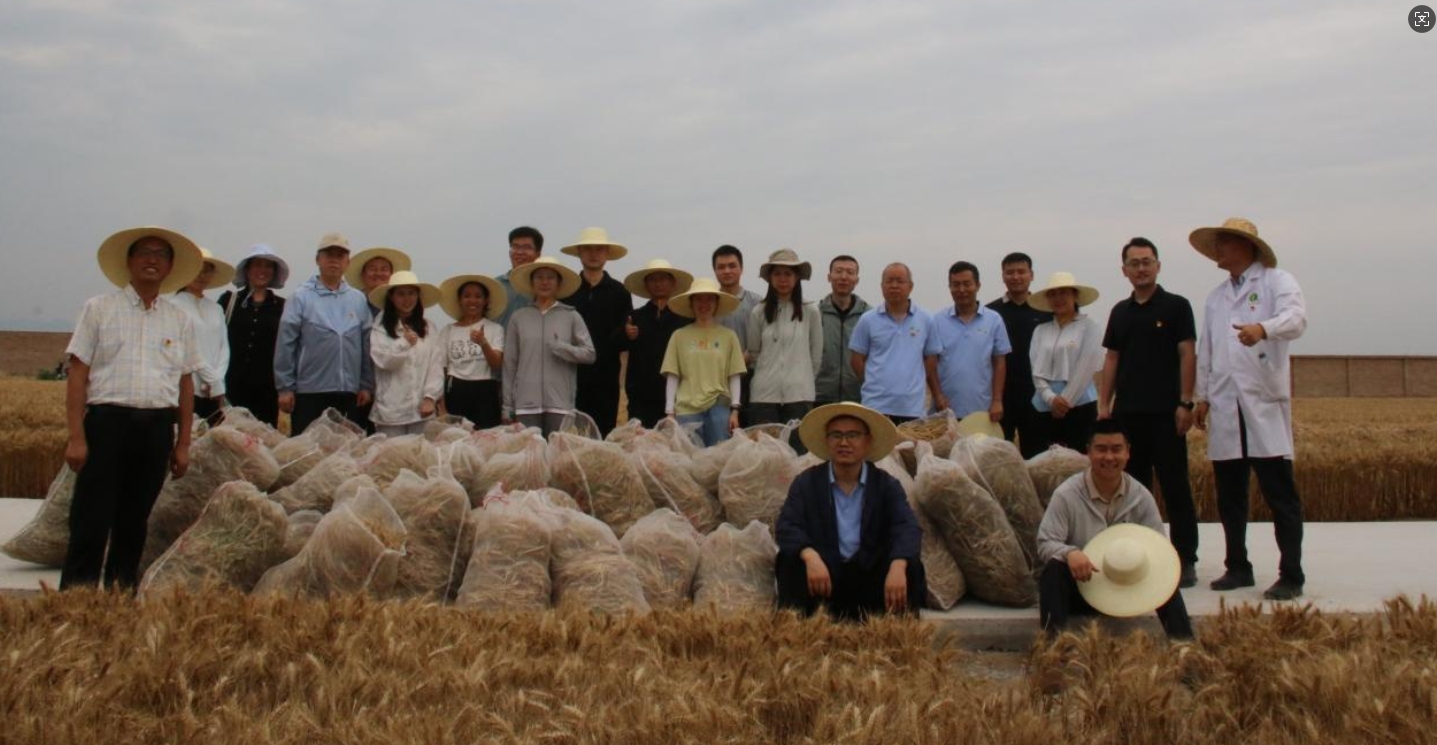 061749199802937096.png 微信截圖_20250606164932.png