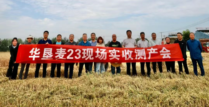 091749461985204811.png image.png