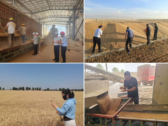 121749718156107267.jpg 2.jpg