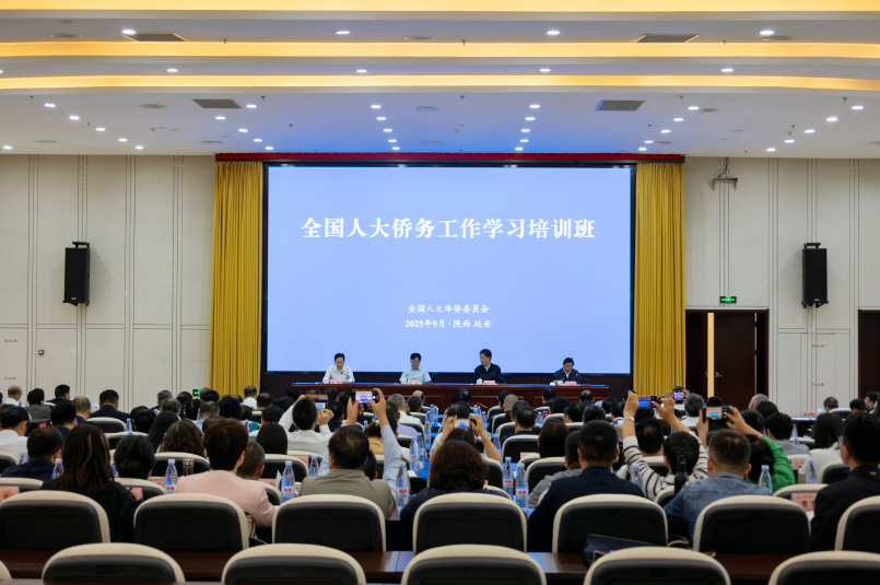 191758278572209484.png image.png