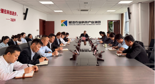 301759197823336252.png image.png