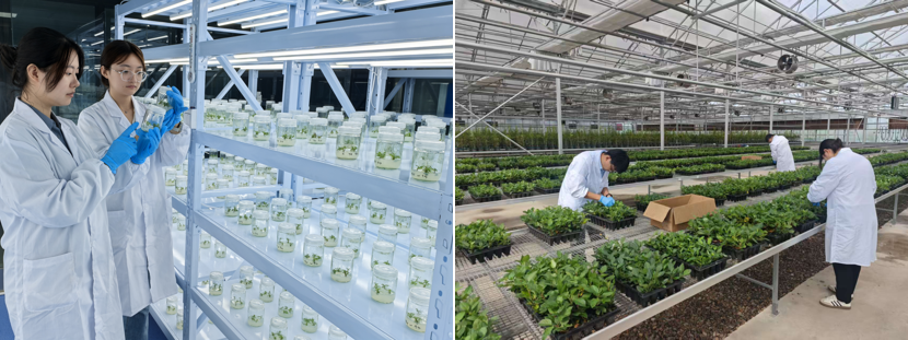 131760344015173600.png image.png