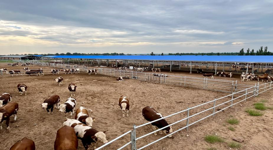 221761122501128471.png 221761122501128471.png