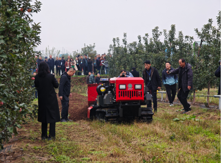 231761207461175565.png image.png