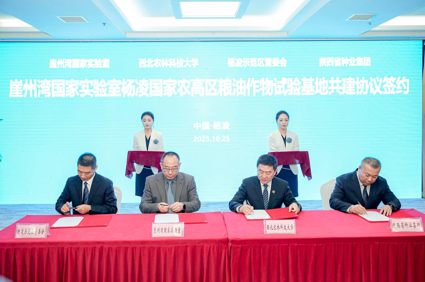 261761454686152719.png 222.png